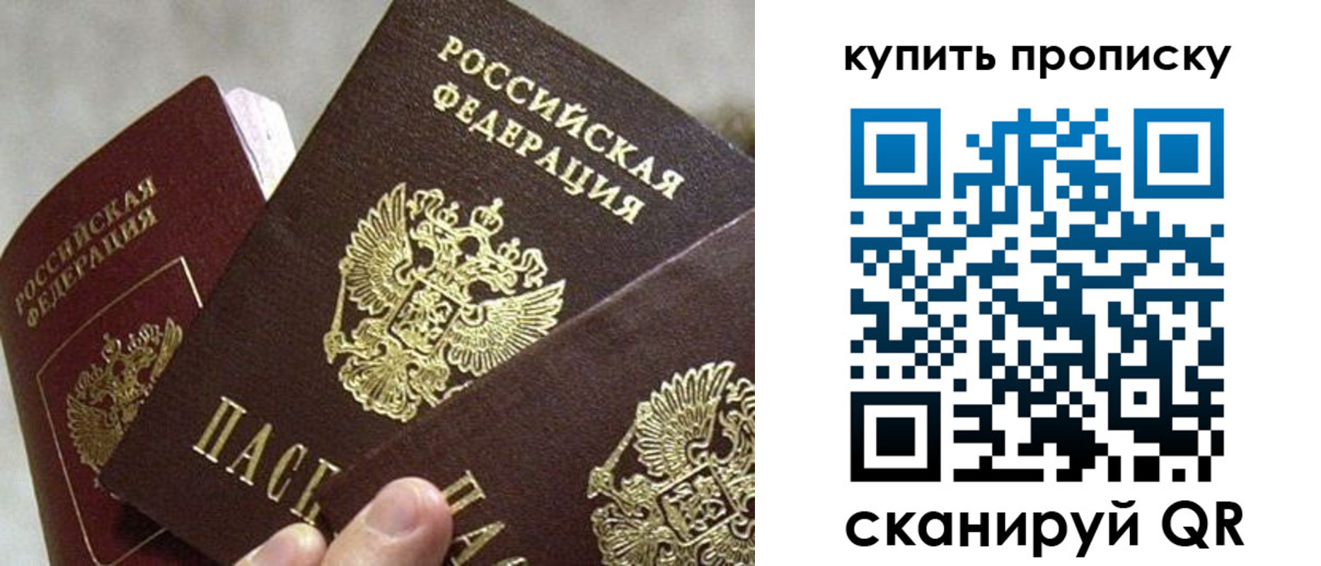 прописка для школы в Приозерске